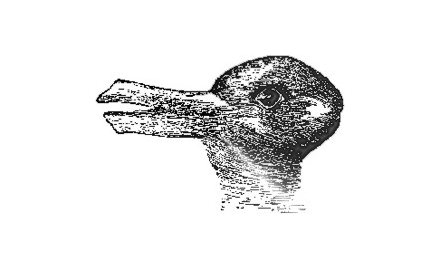 duck-rabbit-440x270