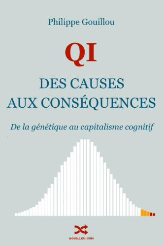 QI : Des Causes aux Conséquences - Philippe Gouillou