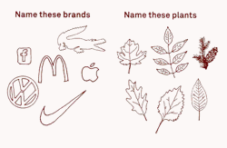 Logos vs Nature