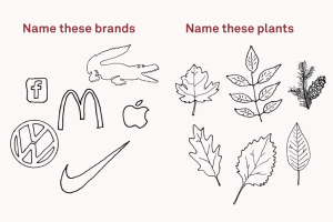 name-brands-plants-pub-600x400